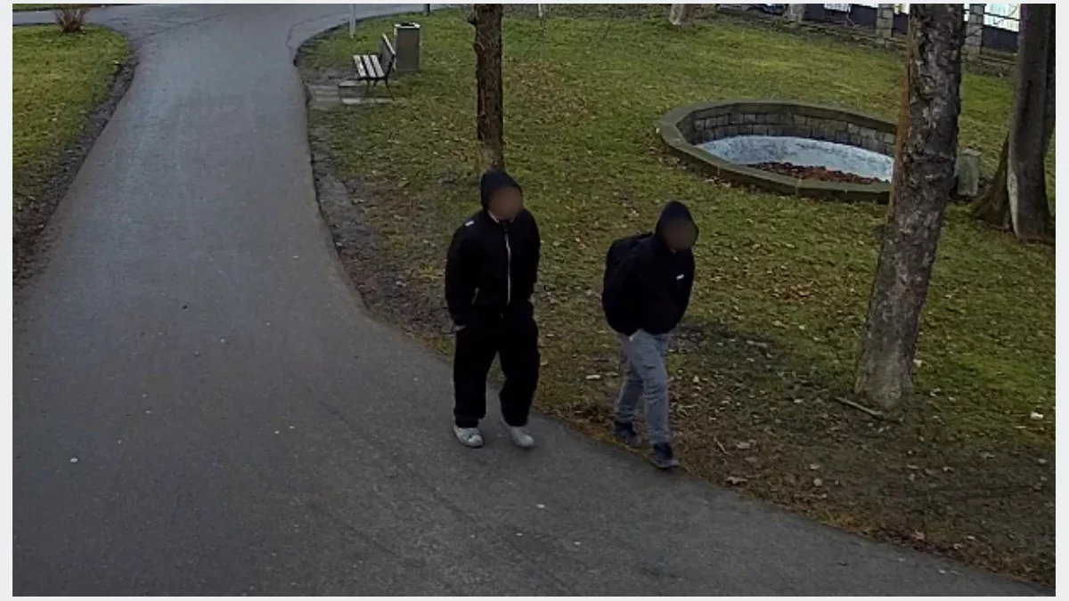 Nieletni wandale z parku przyznali się do winy