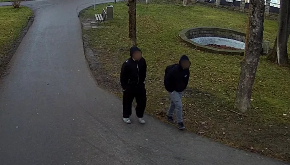 Nieletni wandale z parku przyznali się do winy - zdjęcie 1