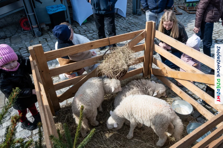 Jarmark odczarowany - wreszcie w słońcu! (ZDJĘCIA) - zdjęcie 17