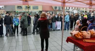 Akcja „Posprzątaj Małopolskę” w Limanowej zakończona sukcesem - zdjęcie 2
