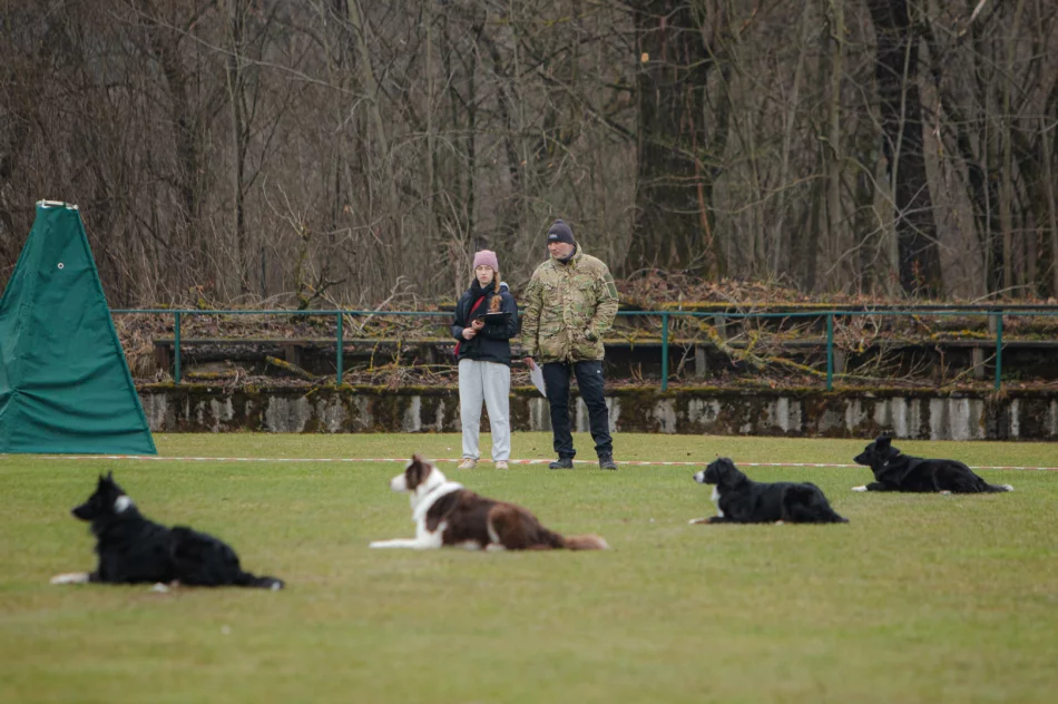 Kwalifikacje do Mistrzostw Świata Obedience 2026 w Limanowej za nami! - zdjęcie 10