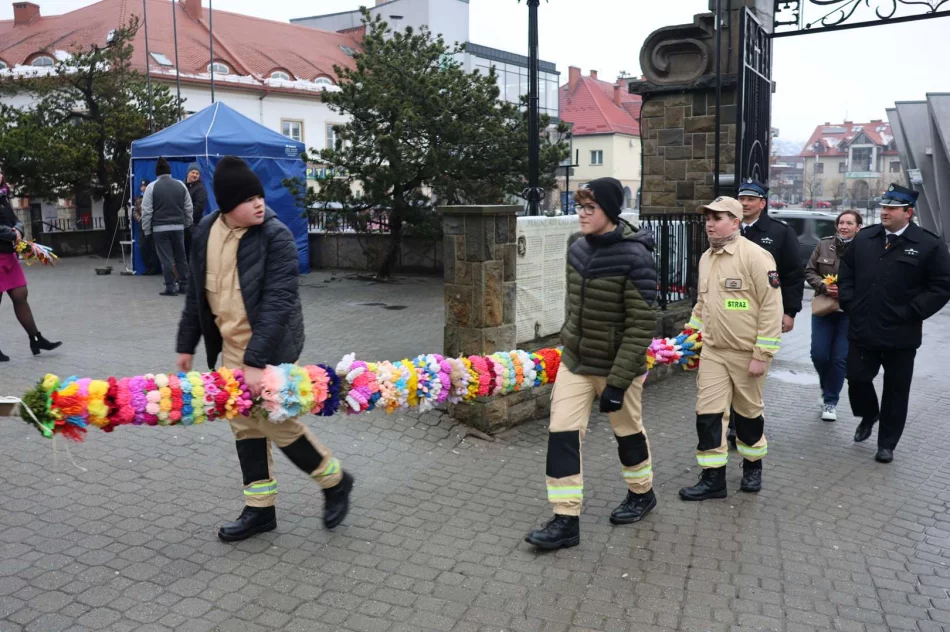 Która palma wygrała? Wyniki 36. edycji konkursu - zdjęcie 11