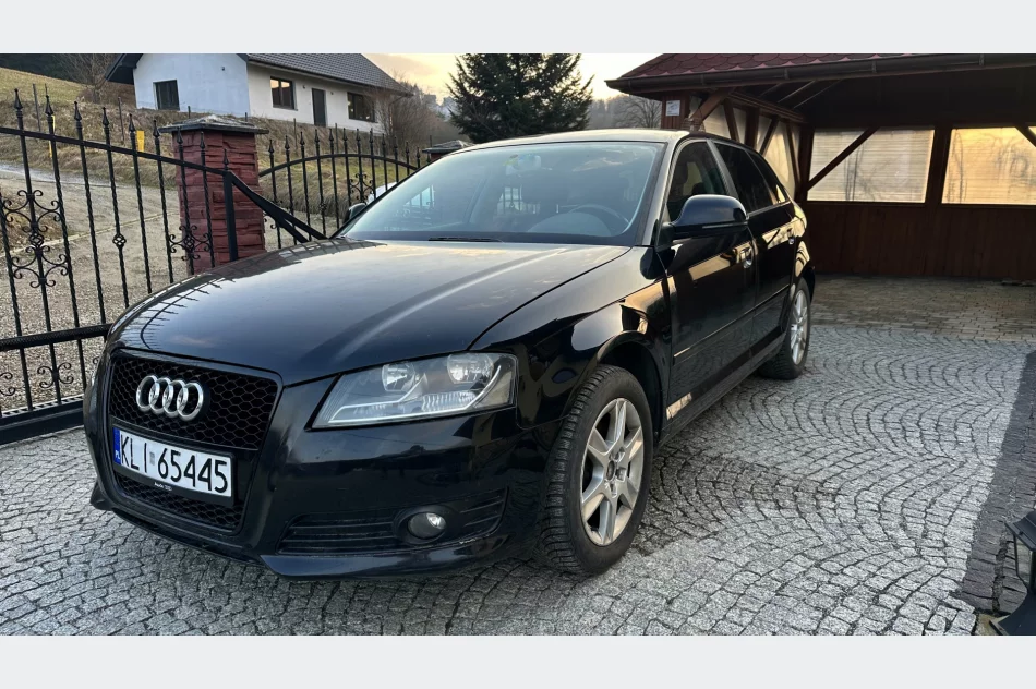 Audi A3 8P 1.9 TDI Automat - zdjęcie 1