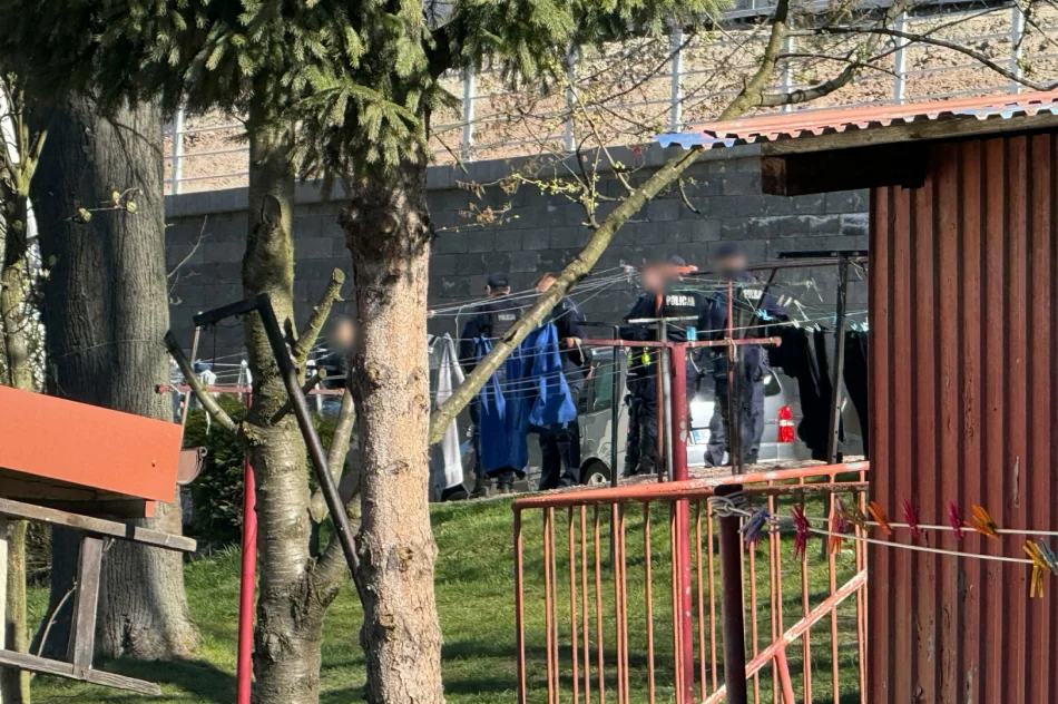 6 osób zatrzymanych, 3 osoby poszkodowane - zdjęcie 9