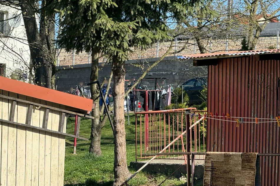 6 osób zatrzymanych, 3 osoby poszkodowane - zdjęcie 7