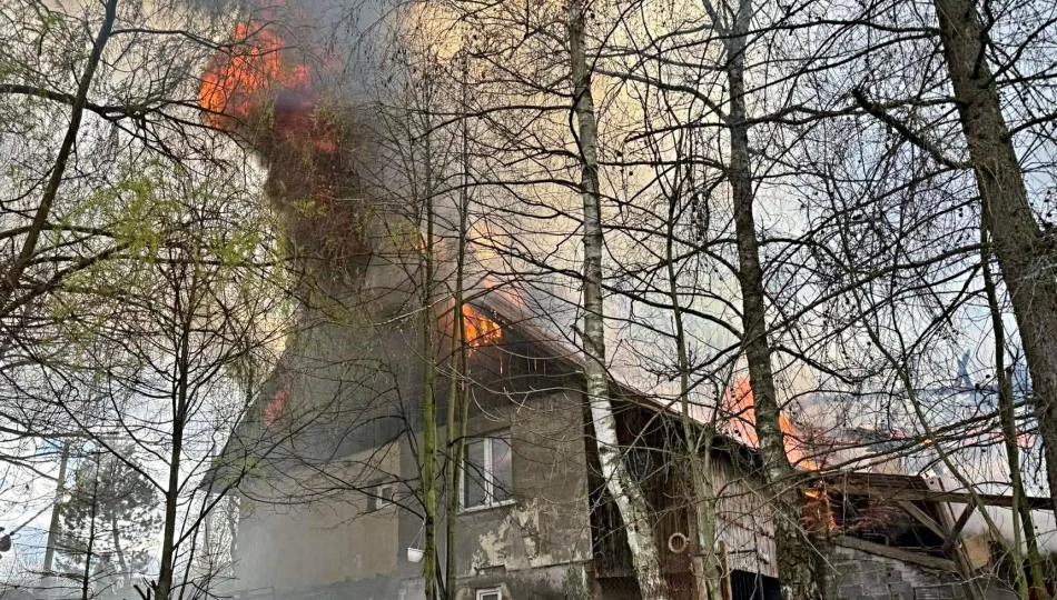Ogień trawił dom i zabudowania. Ratowano mieszkańców oraz zwierzęta - zdjęcie 1
