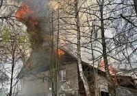 Ogień trawił dom i zabudowania. Ratowano mieszkańców oraz zwierzęta - zdjęcie główne