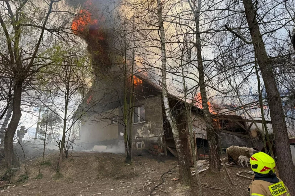Ogień trawił dom i zabudowania. Ratowano mieszkańców oraz zwierzęta - zdjęcie 5