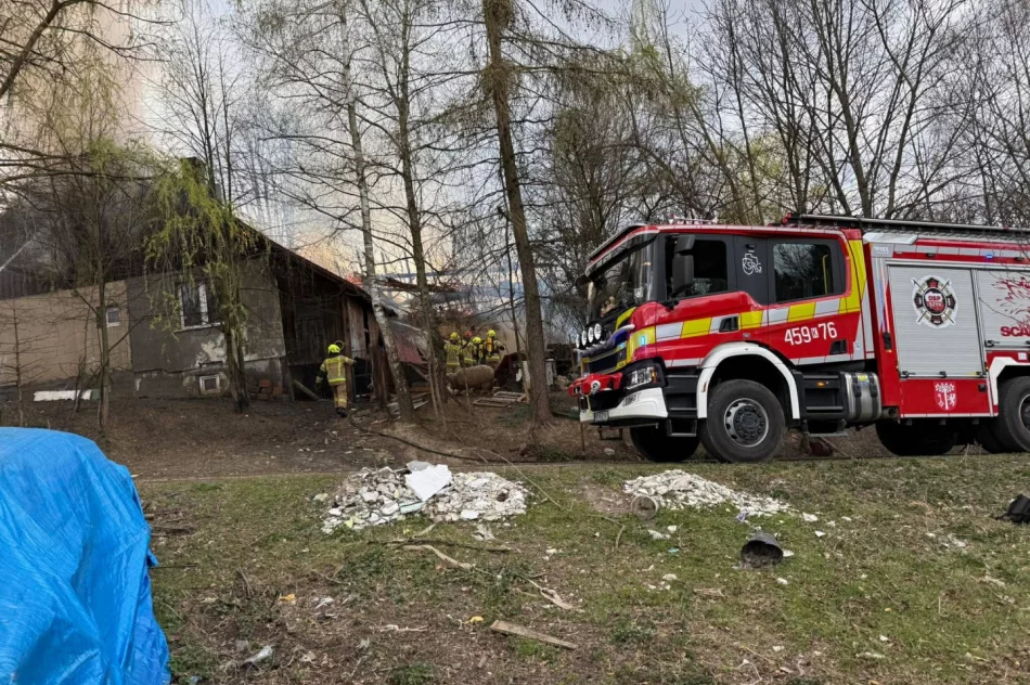 Ogień trawił dom i zabudowania. Ratowano mieszkańców oraz zwierzęta - zdjęcie 6