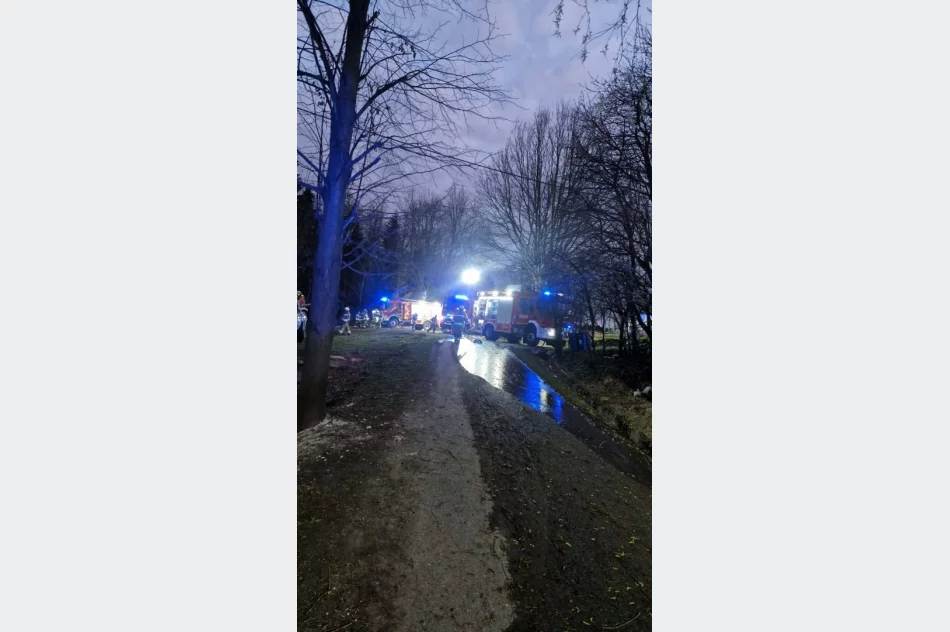Ogień trawił dom i zabudowania. Ratowano mieszkańców oraz zwierzęta - zdjęcie 9