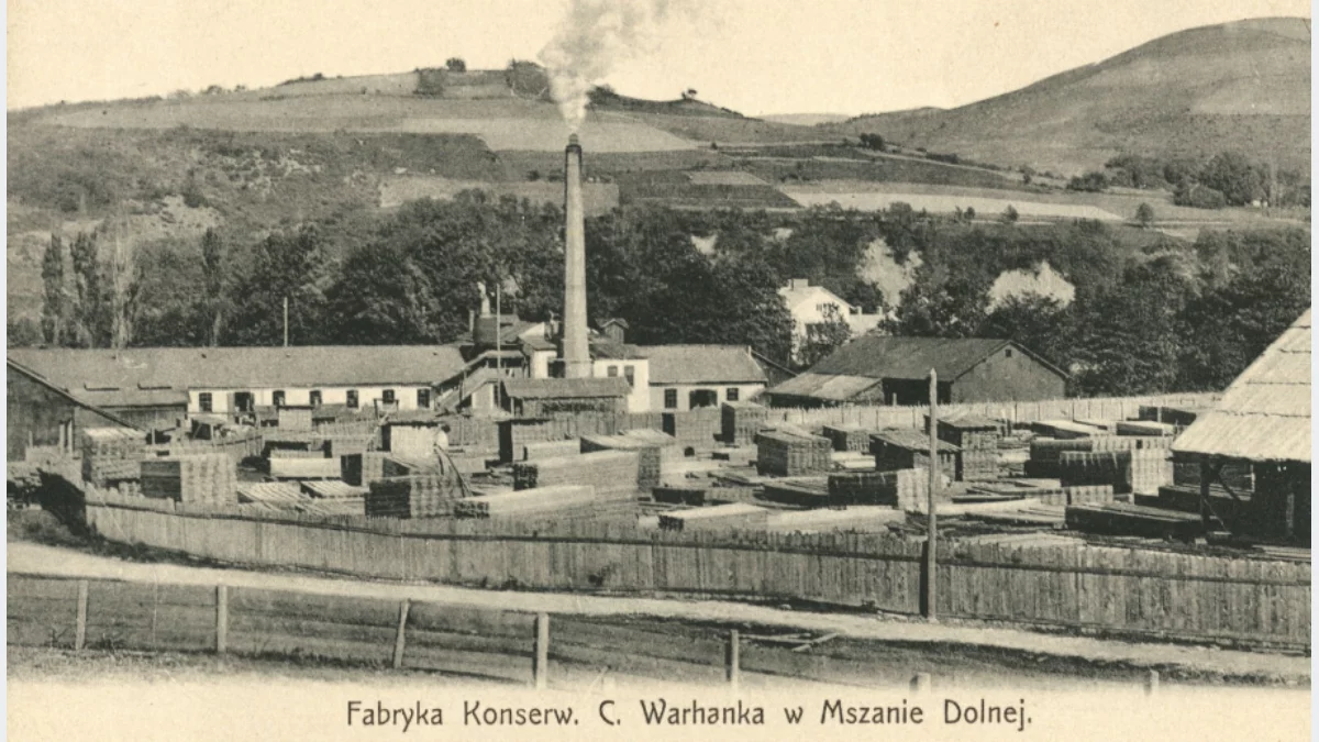 Archiwalna fotografia przedsiębiorstwa C. Warhanek w Mszanie Dolnej