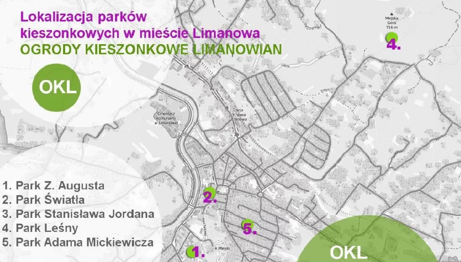  Zielono-niebieska infrastruktura w Limanowej – więcej szczegółów o planowanej inwestycji - zdjęcie 1