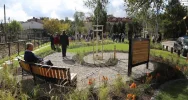  Zielono-niebieska infrastruktura w Limanowej – więcej szczegółów o planowanej inwestycji - zdjęcie 5