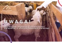 Nowe obowiązki rejestracji działalności związanej z utrzymywaniem zwierząt - zdjęcie główne