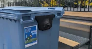 Rozpoczęła się V edycja zbiórki makulatury ! - zdjęcie 5