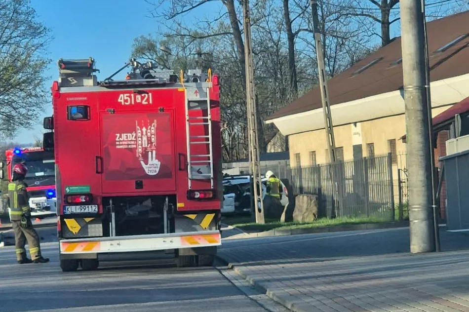 Ustalenia policji po groźnym wypadku  - zdjęcie 3