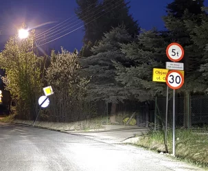 Ni ma się co spieszyć – rzekł leniwiec, drapiąc się po plecach  - zdjęcie główne