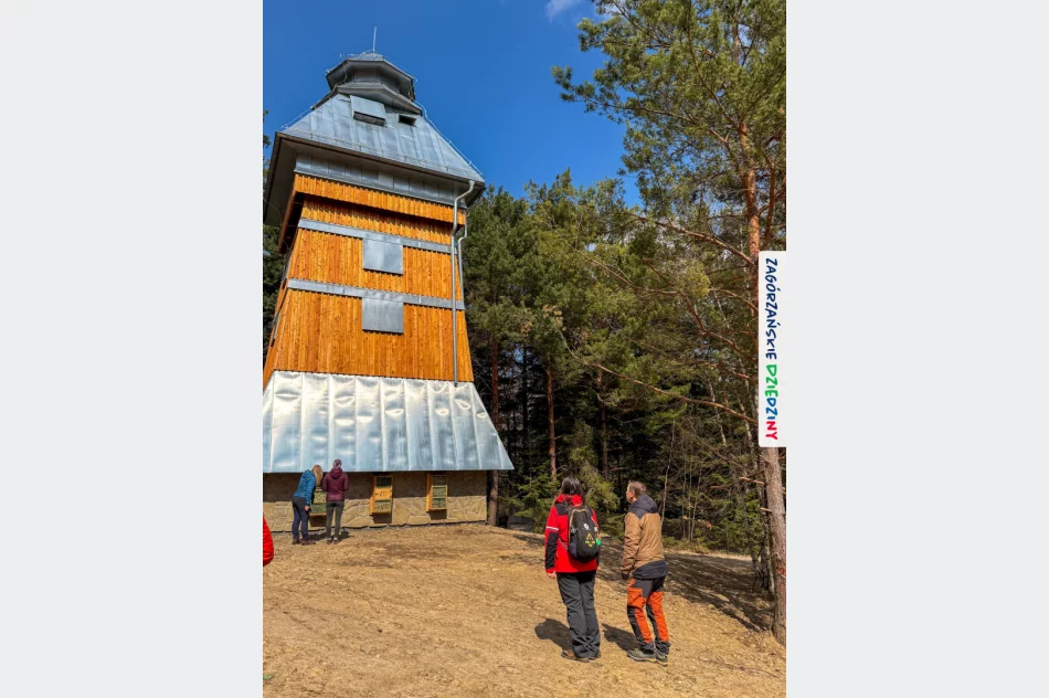 Leśna edukacja na „Zielonym wielorybie” - zdjęcie 6