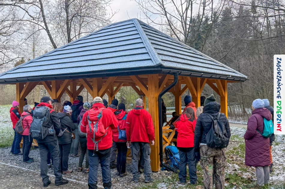 Leśna edukacja na „Zielonym wielorybie” - zdjęcie 19