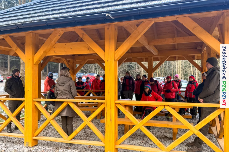 Leśna edukacja na „Zielonym wielorybie” - zdjęcie 20