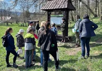 Spacer z lornetkami - “ptasia lekcja” w parku  - zdjęcie główne