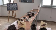 Spacer z lornetkami - “ptasia lekcja” w parku  - zdjęcie 2