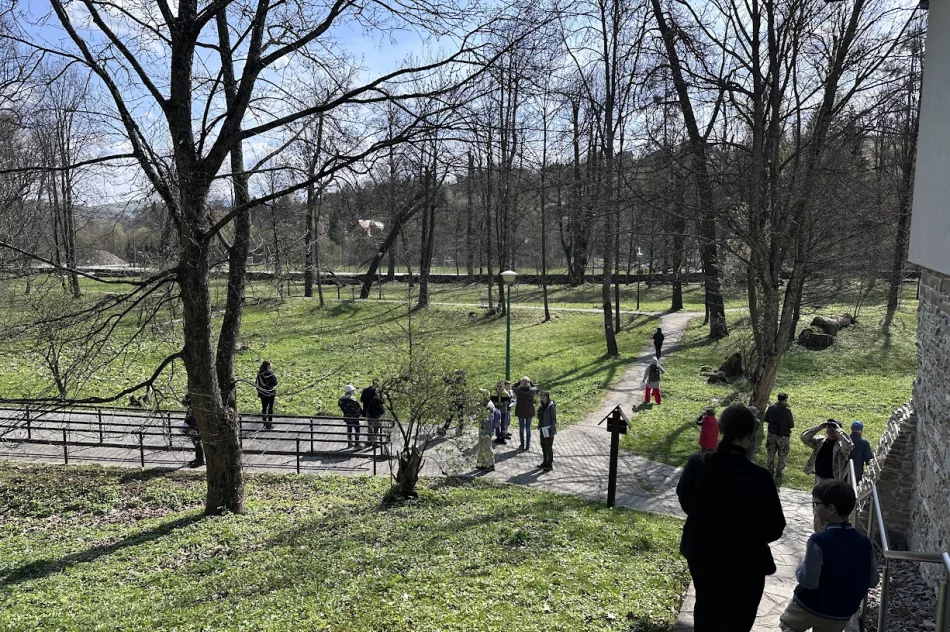 Spacer z lornetkami - “ptasia lekcja” w parku  - zdjęcie 3