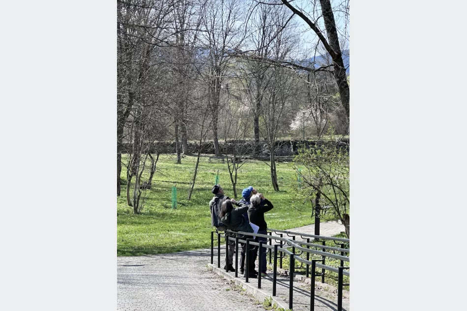 Spacer z lornetkami - “ptasia lekcja” w parku  - zdjęcie 7
