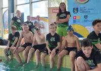 Aligator wprowadza swoją młodzież na szerokie wody - zdjęcie główne
