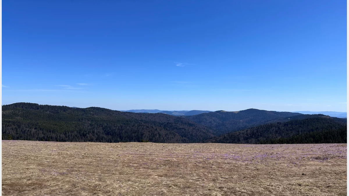 Polana w Gorcach z widokiem na panoramę gór w wiosenny dzień