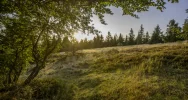 Ostrzeżenie IMiBW: burze z gradem i ochłodzenie - zdjęcie 4