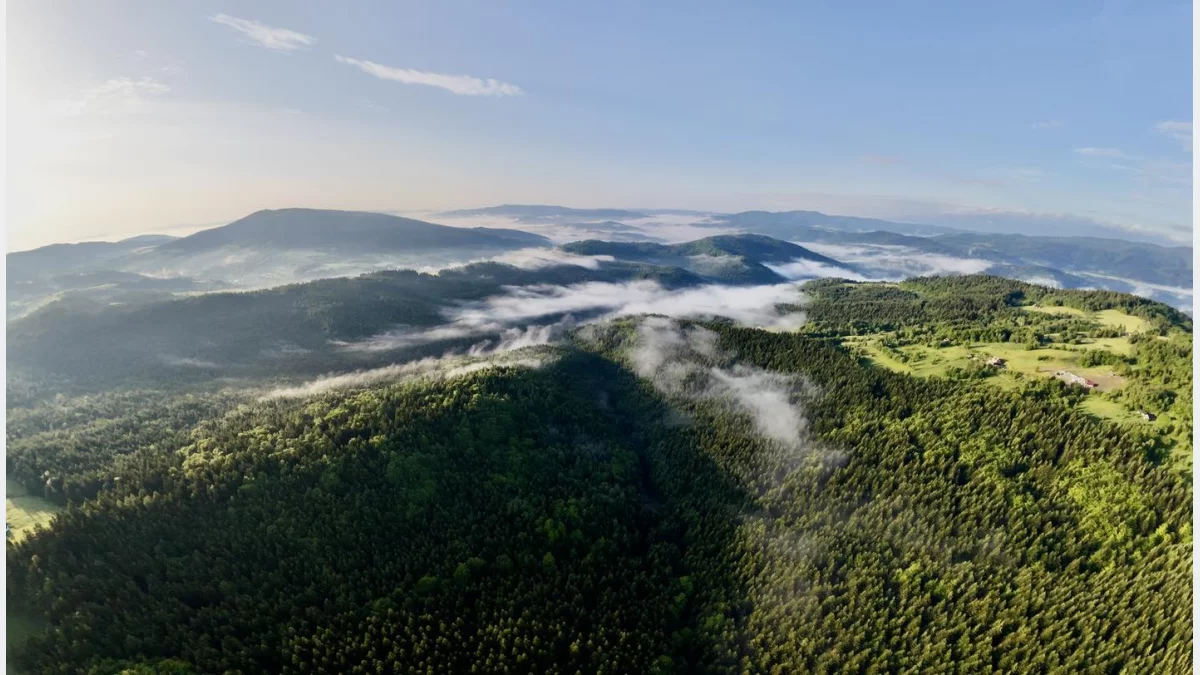 Uderzenie gorąca, potrzebny deszcz i skok do 27 stopni