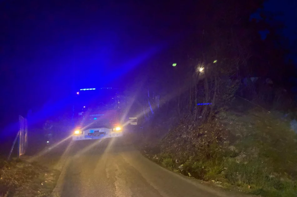 Nocny pożar odpadów w romskiej osadzie - zdjęcie 2