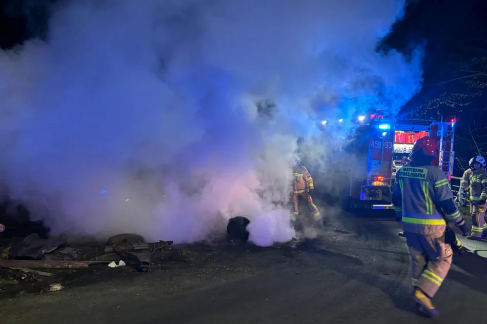 Nocny pożar odpadów w romskiej osadzie - zdjęcie 3