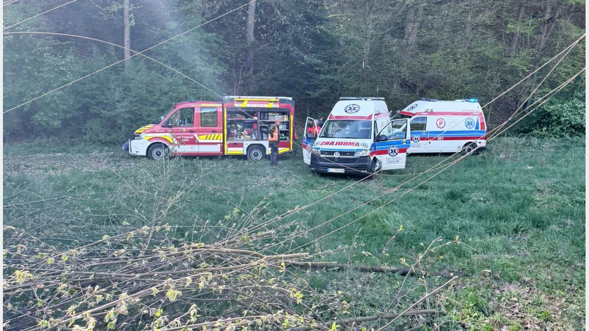 Służby ratunkowe na miejscu wypadku w Tymbarku przy torach kolejowych.