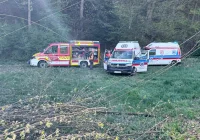 Wypadek podczas wycinki przy torach. Drzewo uderzyło dwóch mężczyzn - zdjęcie główne