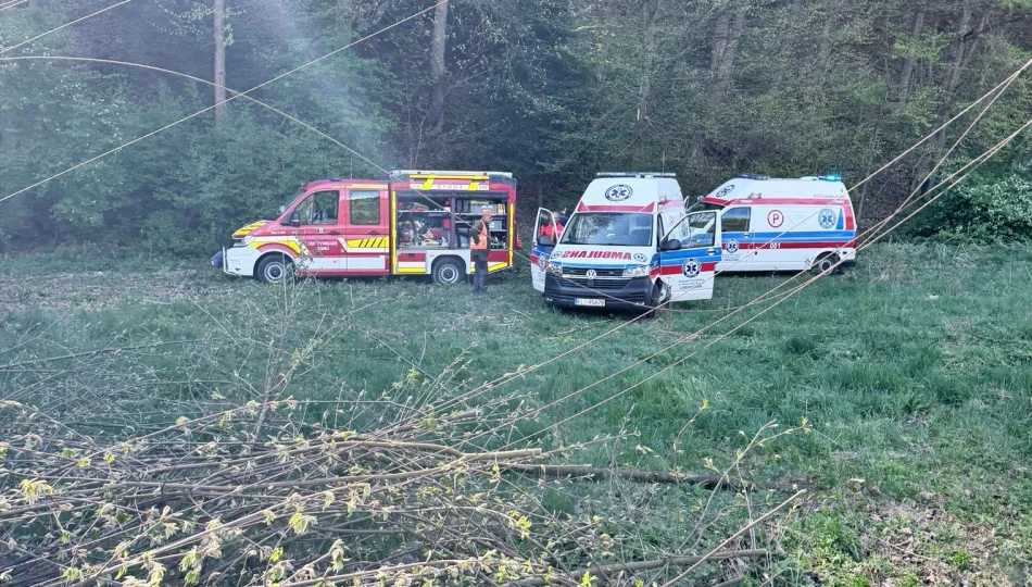 Wypadek podczas wycinki przy torach. Drzewo uderzyło dwóch mężczyzn - zdjęcie 1