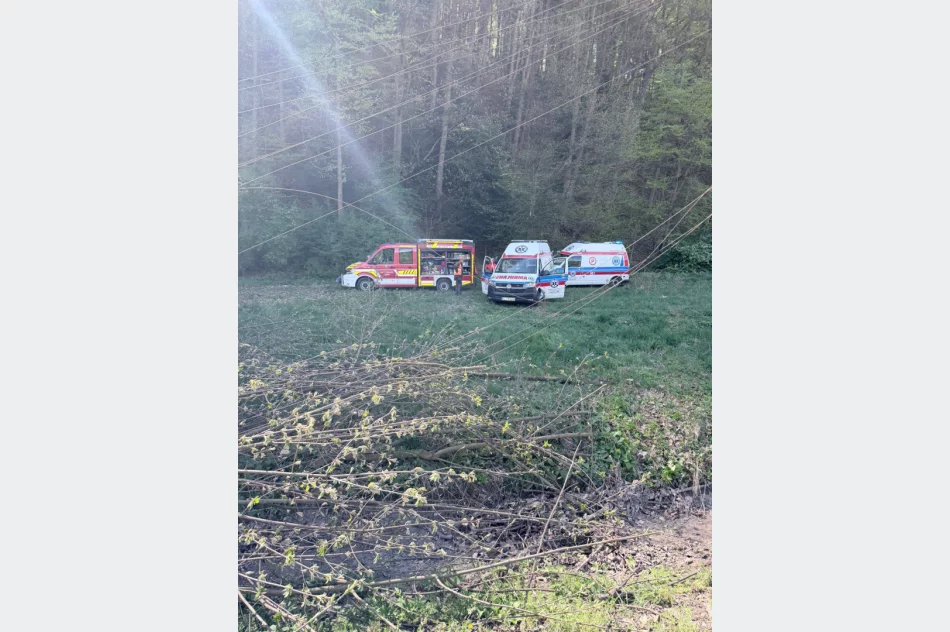 Wypadek podczas wycinki przy torach. Drzewo uderzyło dwóch mężczyzn - zdjęcie 3