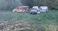 Wypadek podczas wycinki przy torach. Drzewo uderzyło dwóch mężczyzn - zdjęcie 3