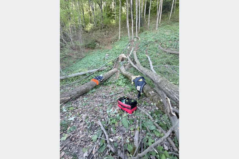 Wypadek podczas wycinki przy torach. Drzewo uderzyło dwóch mężczyzn - zdjęcie 5