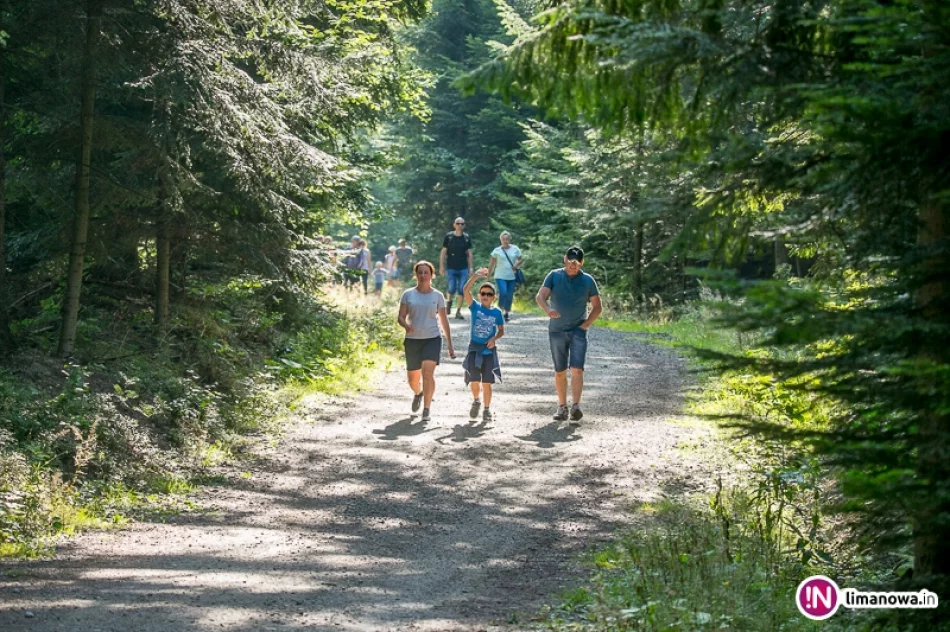 Złaz na Mogielicy - 2017 - zdjęcie 2