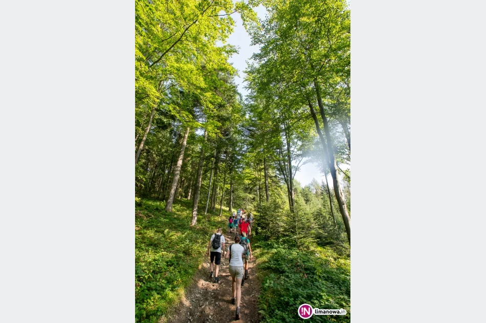 Złaz na Mogielicy - 2017 - zdjęcie 6