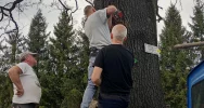 Powrót Kapliczki Chrystusa Frasobliwego w Łososinie Górnej i zaproszenie na uroczystość - zdjęcie 5
