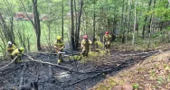 Pożar lasu - prawie 40 strażaków w akcji - zdjęcie 2