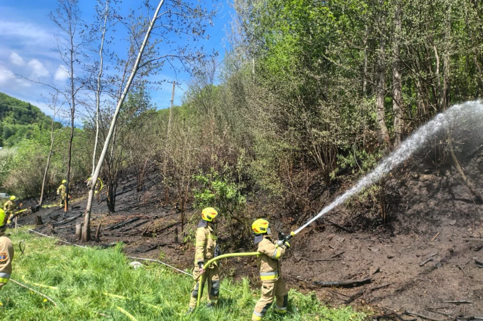 Pożar lasu - prawie 40 strażaków w akcji - zdjęcie 3