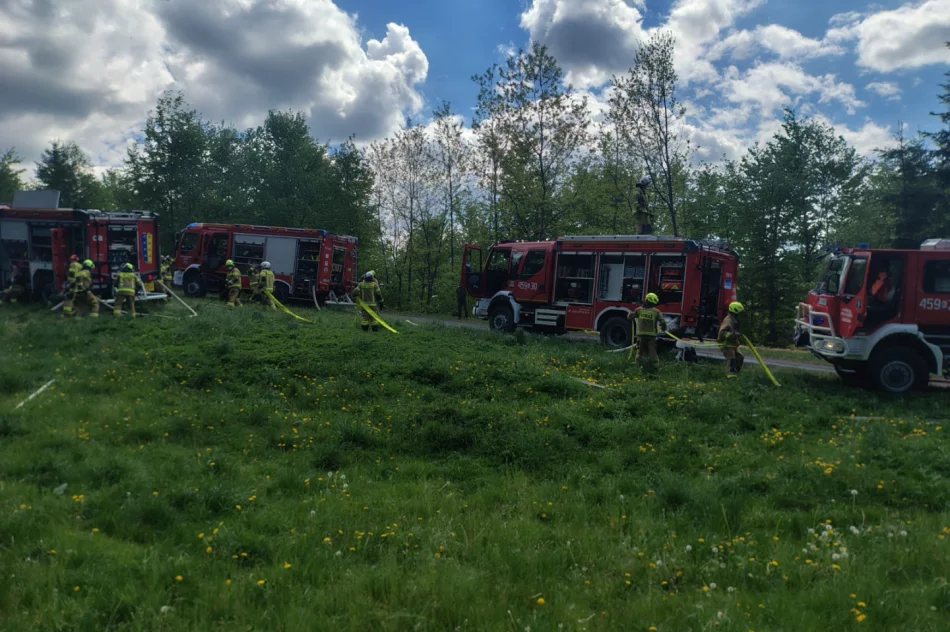 Pożar lasu - prawie 40 strażaków w akcji - zdjęcie 6