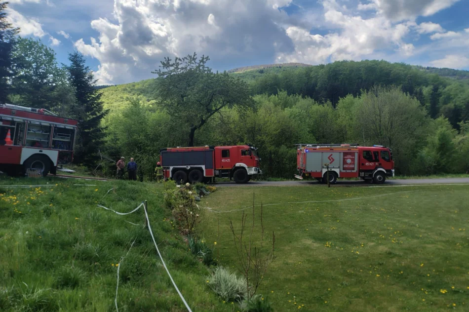 Pożar lasu - prawie 40 strażaków w akcji - zdjęcie 7