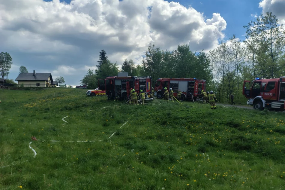 Pożar lasu - prawie 40 strażaków w akcji - zdjęcie 8