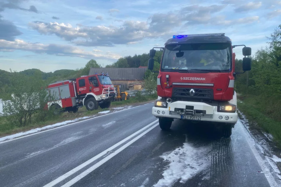 Pożar samochodu na drodze wojewódzkiej - zdjęcie 2