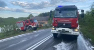 Pożar samochodu na drodze wojewódzkiej - zdjęcie 2